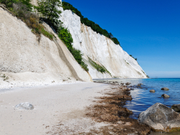 Møns Klint